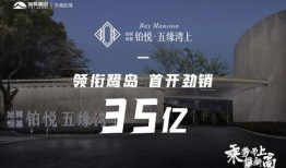 山水比德爆料视频下载,探寻背后真相与精彩瞬间